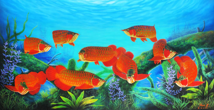 Các loại cá cảnh dễ nuôi và một số thông tin liên quan